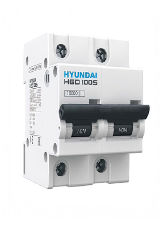MCB HYUNDAI 2P 100A 10kA ( HGD100S )