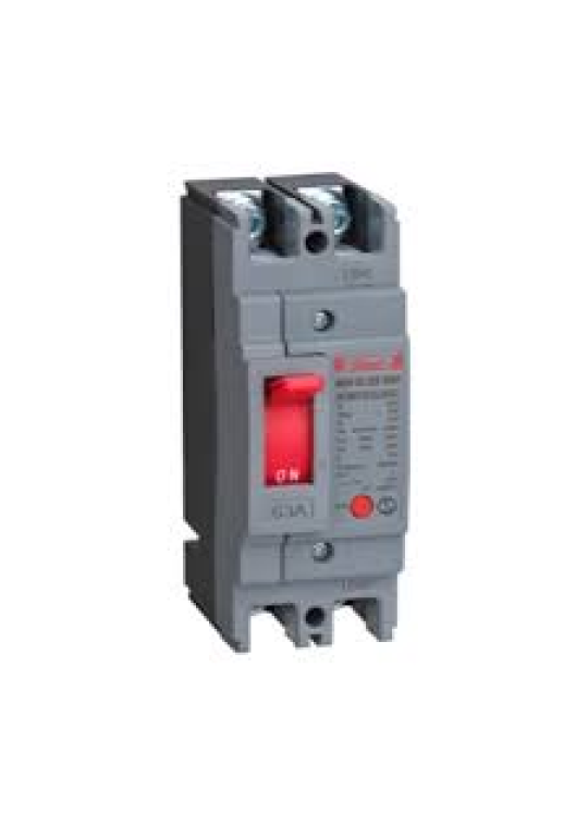 MCCB HIMEL 2P 100A 30kA ( HDM2125L1002 )