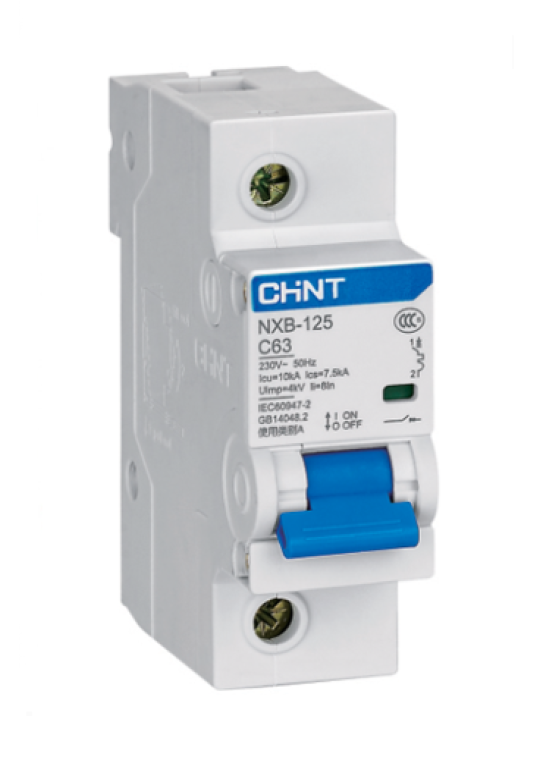 MCB CHINT 1P 80A 10kA ( NXB-125 )