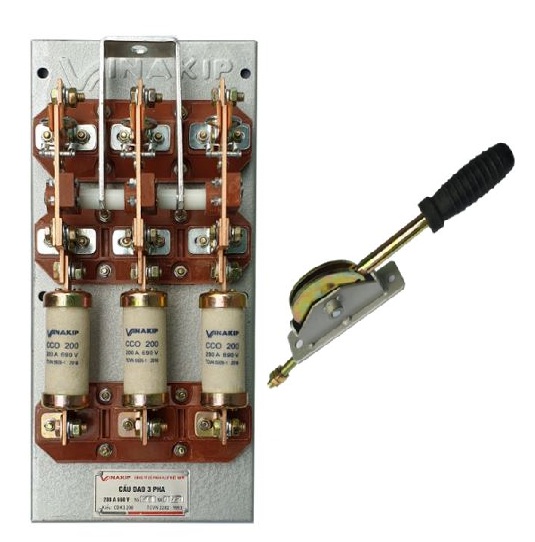 Cầu dao kiểu hở Vinakip CK01 3P 100A 660V