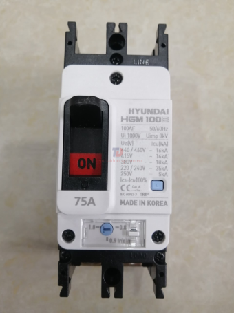 MCCB HYUNDAI 2P 75A 35kA ( HGM100E-F )
