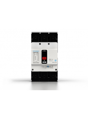 MCCB HYUNDAI 2P 175A 65kA ( HGM250S-F )