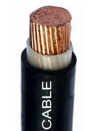 Cáp điện THĂNG LONG cách điện XLPE vỏ PVC CXV 2.5mm2 - 0.6/1kV