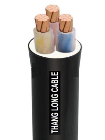 Cáp điện THĂNG LONG CXV 3 x 25mm2 - 0.6/1kV