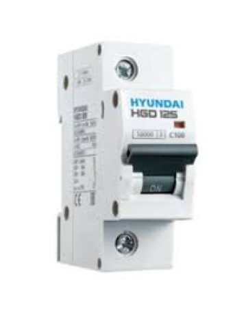 MCB HYUNDAI 1P 80A 10kA ( HGD125 )