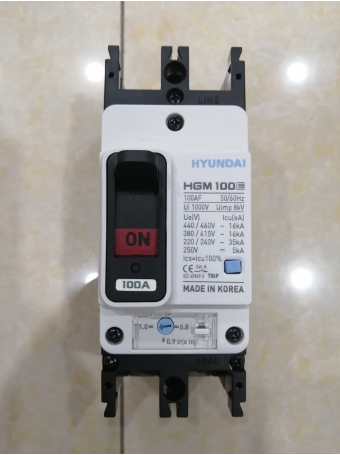MCCB HYUNDAI 2P 100A 35kA ( HGM100E-F )