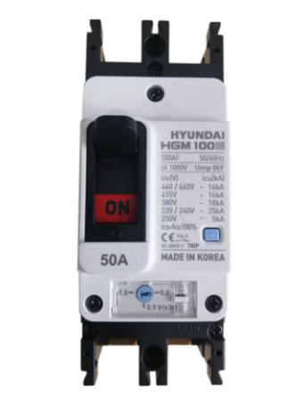 MCCB HYUNDAI 2P 80A 35kA ( HGM100E-F )