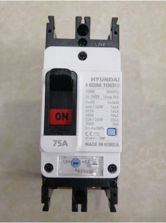 MCCB HYUNDAI 2P 75A 35kA ( HGM100E-F )