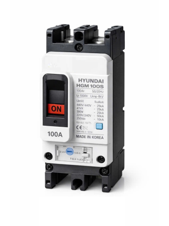 MCCB HYUNDAI 2P 80A 50kA ( HGM100S-F )