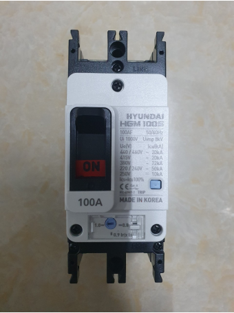 MCCB HYUNDAI 2P 100A 50kA ( HGM100S-F )