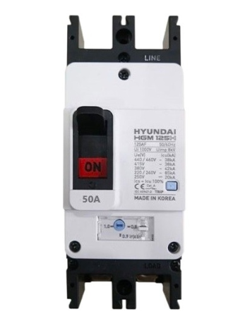 MCCB HYUNDAI 2P 63A 85kA ( HGM125H-F )