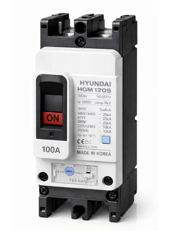 MCCB HYUNDAI 2P 80A 65kA ( HGM125S-F )
