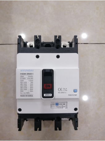 MCCB HYUNDAI 2P 250A 85kA ( HGM250H-F )
