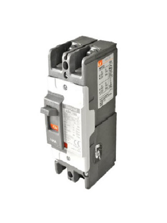 MCCB LS 2P 100A 85kA ( ABS102c )