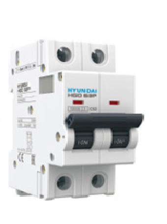 MCB HYUNDAI 2P 125A 10kA ( HGD125 )