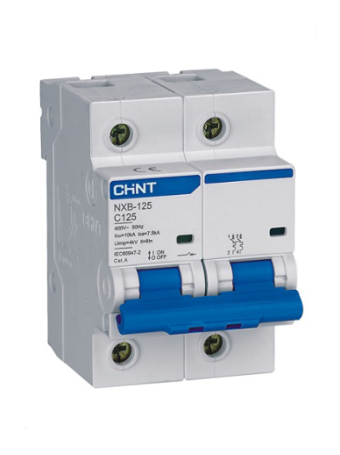 MCB CHINT 2P 125A 10kA ( NXB-125 )